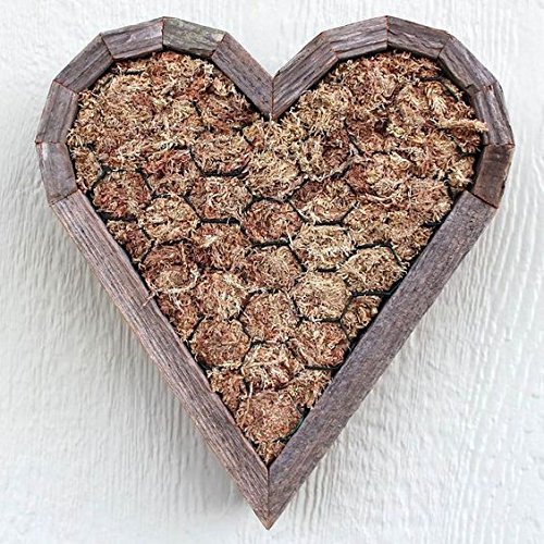 DIY Succulent Heart Vertical Planter Succulent Garden Wall Centerpiece As Seen in Birds & Blooms Magazine Garden Gift