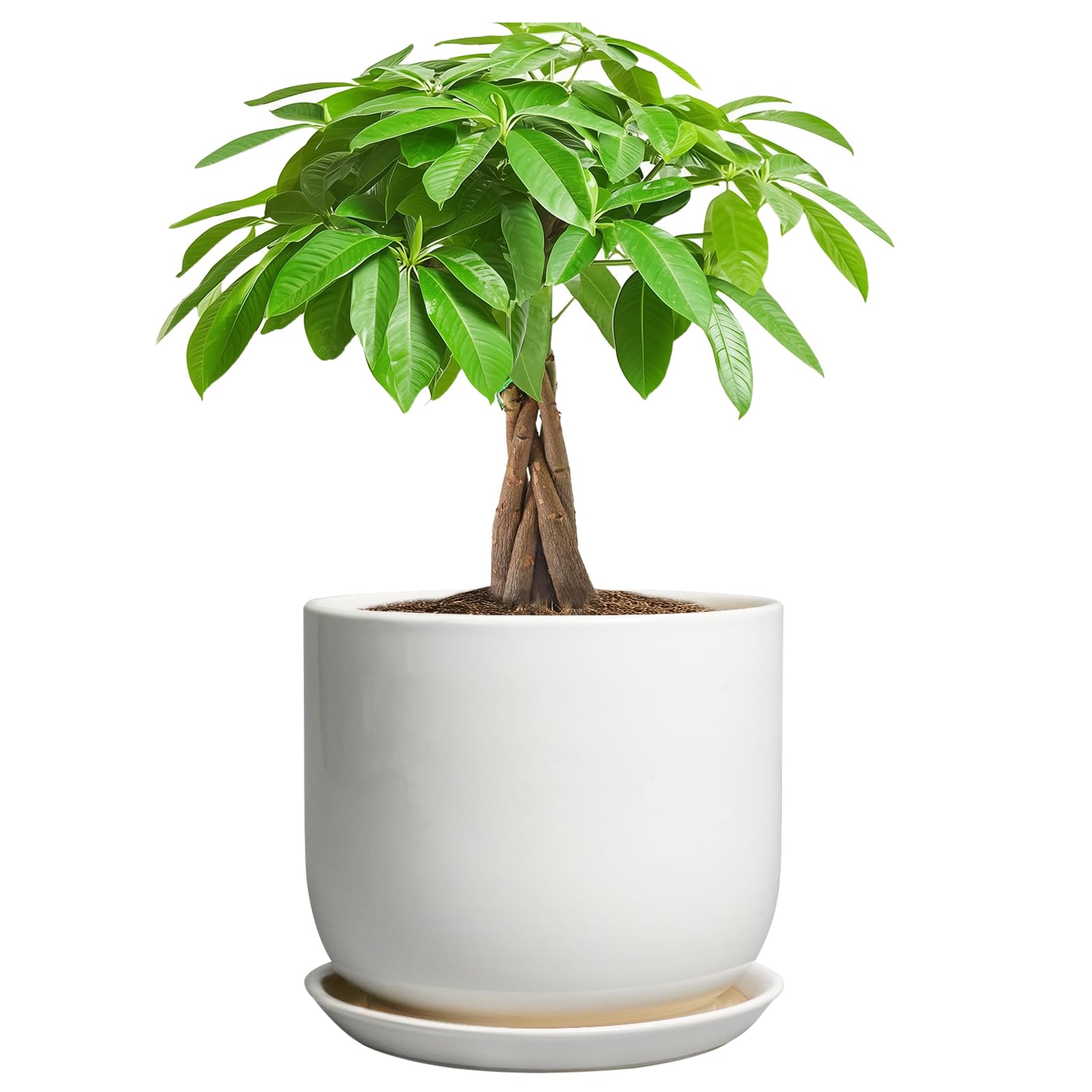 SUNPOTFOR Ceramic Pot 7 Inch