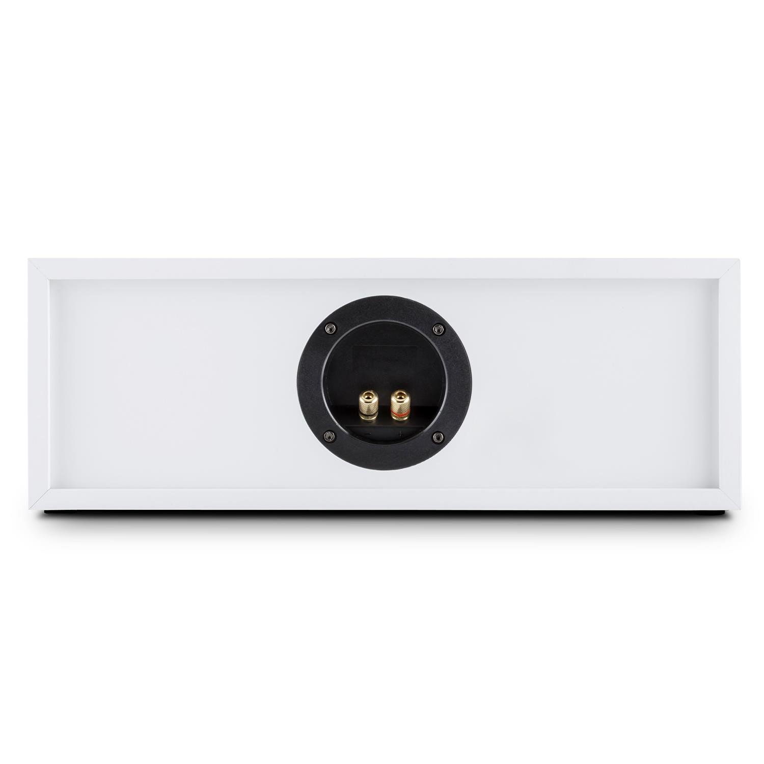 AUNA Linie 501 CS - Altoparlante Center, Speaker, Cassa, Diffusore Passivo, Tecnologia a 2 Vie, 120W, 2 x 60 Watt RMS, Connettore Fase, Tweeter 2,5 cm (1"), Dimensioni 42,5 x 15 x 24,5 cm, Bianco