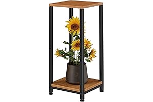 Simple Trending Corner Stand