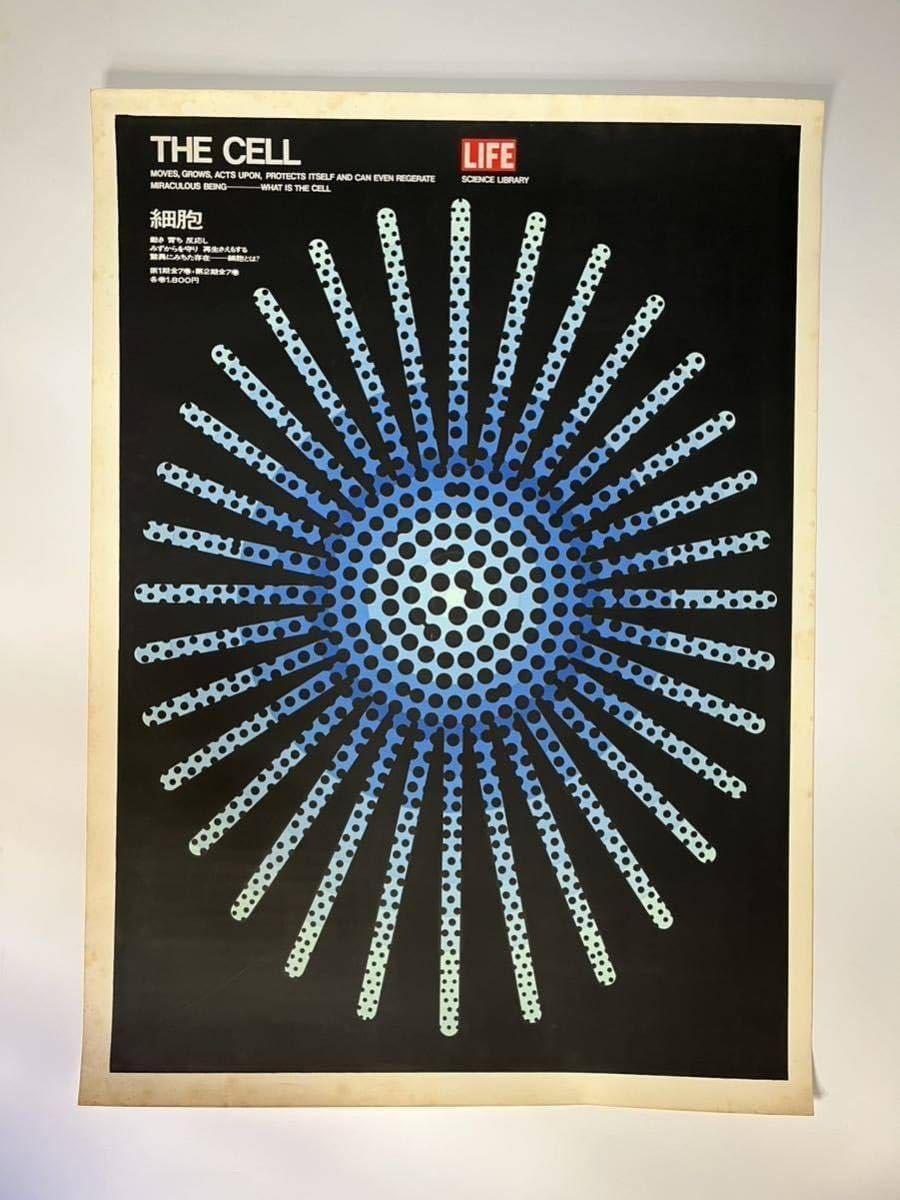 Amazon.co.jp: 貴重 1967年 永井一正 LIFE 細胞 シルクスクリーンB1 