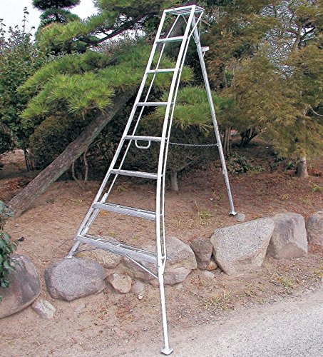 アルステップ AMP-9