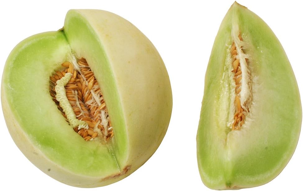 Cantaloupe Melon Honey Dew Green Flesh Great Heirloom Vegetable by Seed Kingdom Bulk 1 Lb Seeds