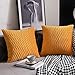 DEZENE Golden Yellow Couch, poszewka na poduszkę: 2 szt. 45 cm x 45 cm, oryginalna, w paski, kwadratowa, aksamitna poszewka na poduszkę do sypialni Home Decor