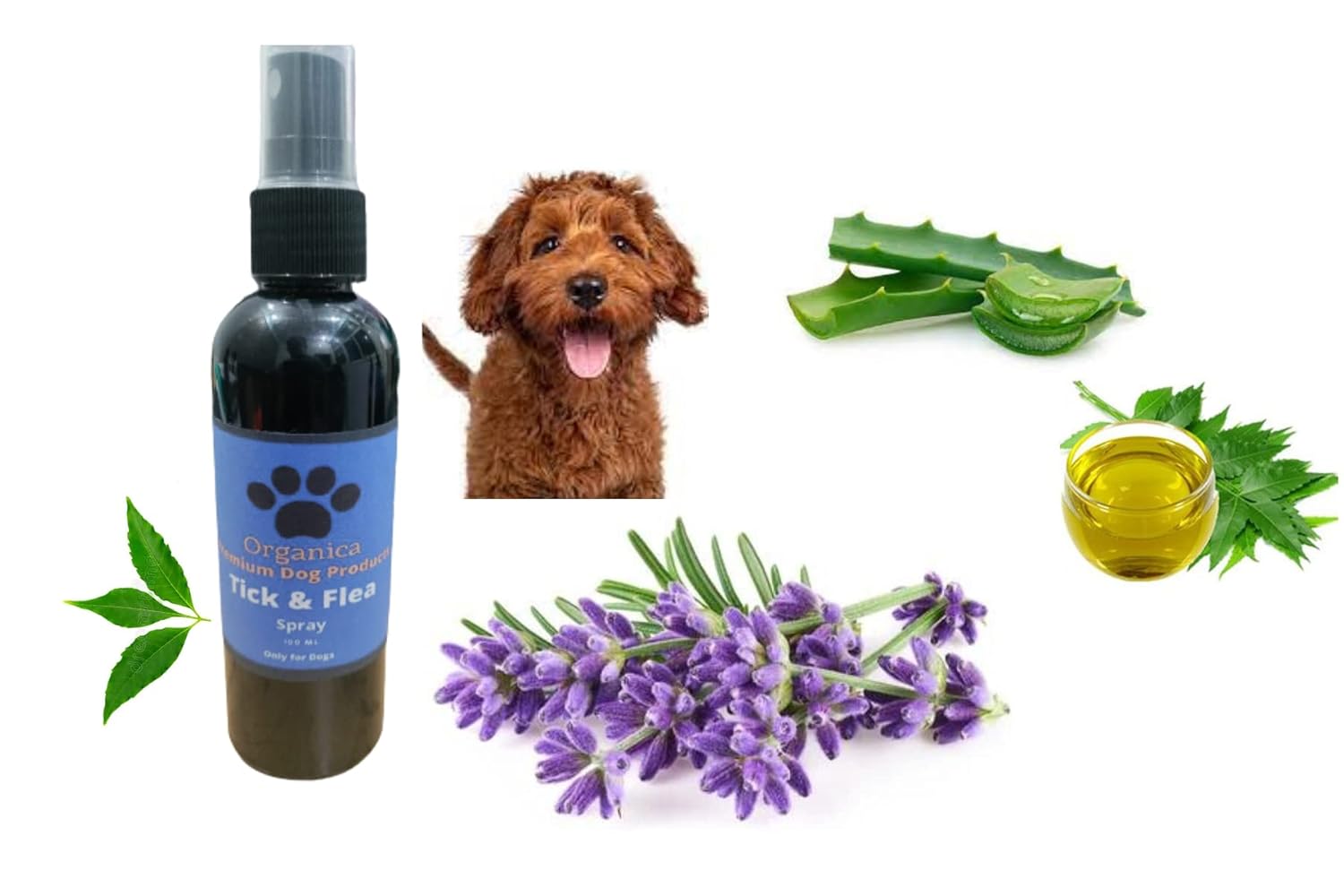 Organica Tick & Flea Spray Tick Remover Spot on 100 ml Amazon.in Pet