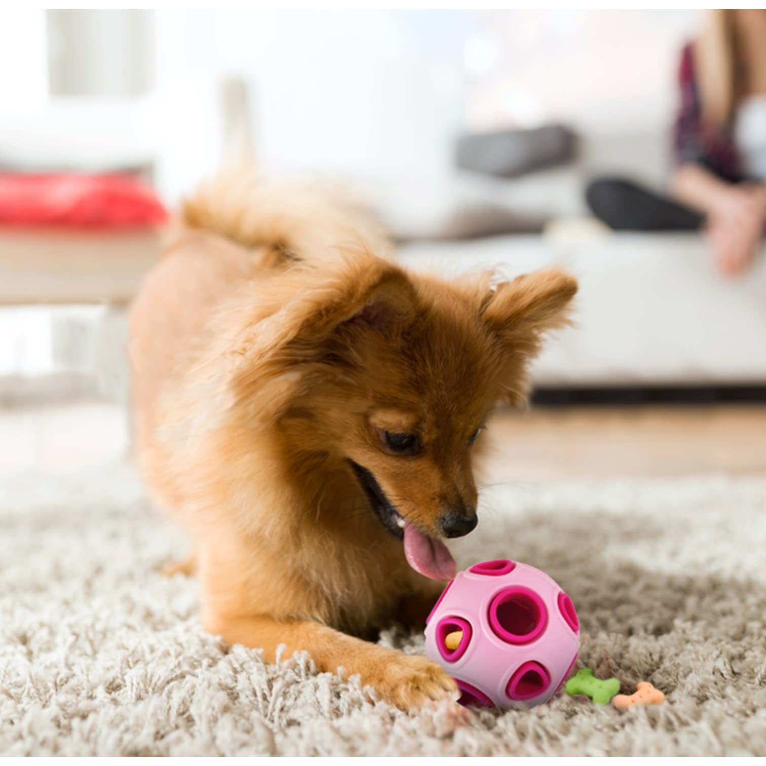 Amazon.co.jp: PLATZ PET SUPPLISES＆FUN（プラッツ）犬用おもちゃ