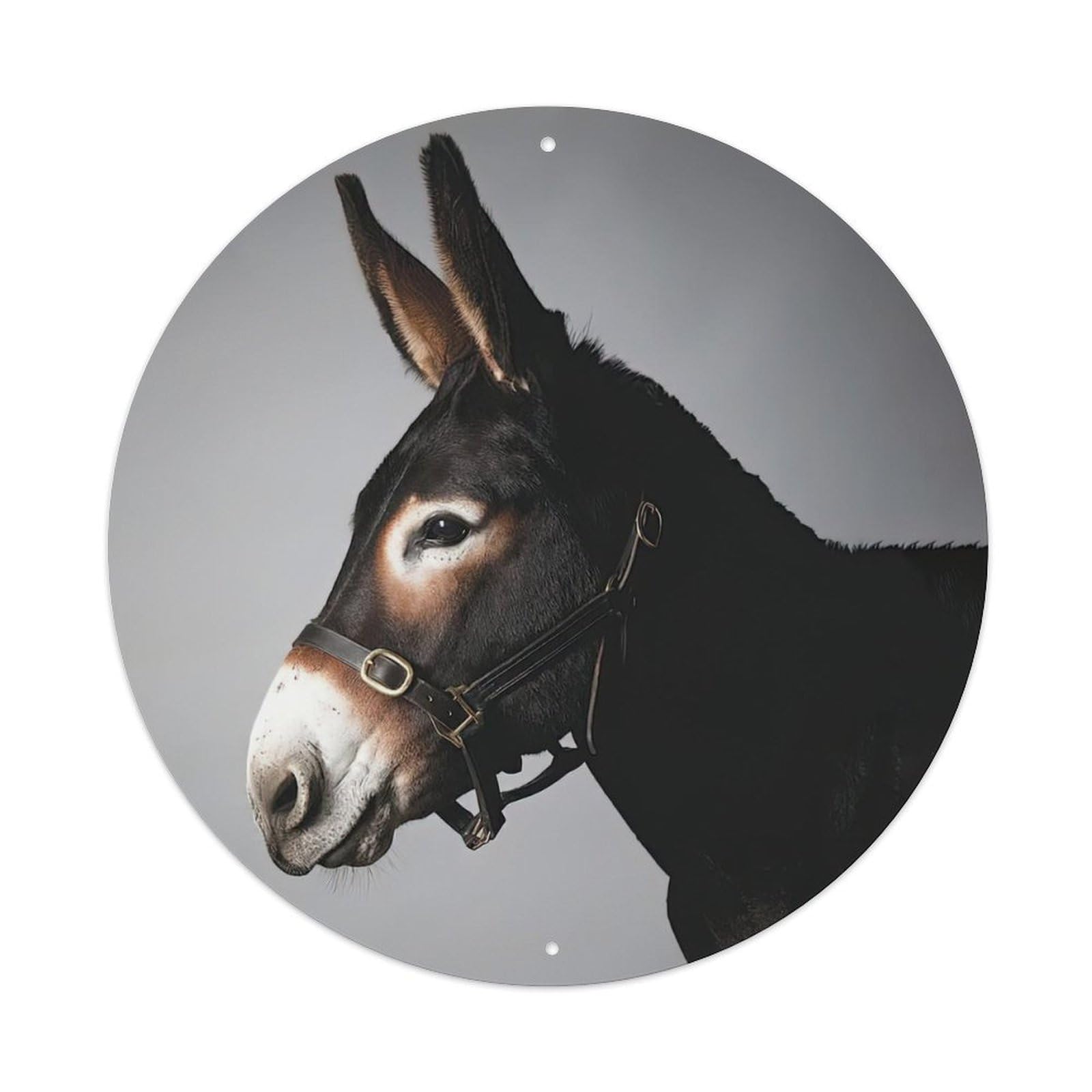 Animal Black Donkey Vintage Metal Tin Sign Plaque Wall Decor for Cafe, Club Bar, Office, Garden Metal Poster 8x8Inch