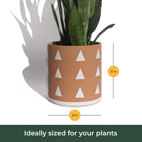 Miniatura 2 de Bees & Buds Macetas pequeñas de terracota de 8 pulgadas, macetas de arcilla para suculentas con drenaje, macetas para plantas, macetas de terracota