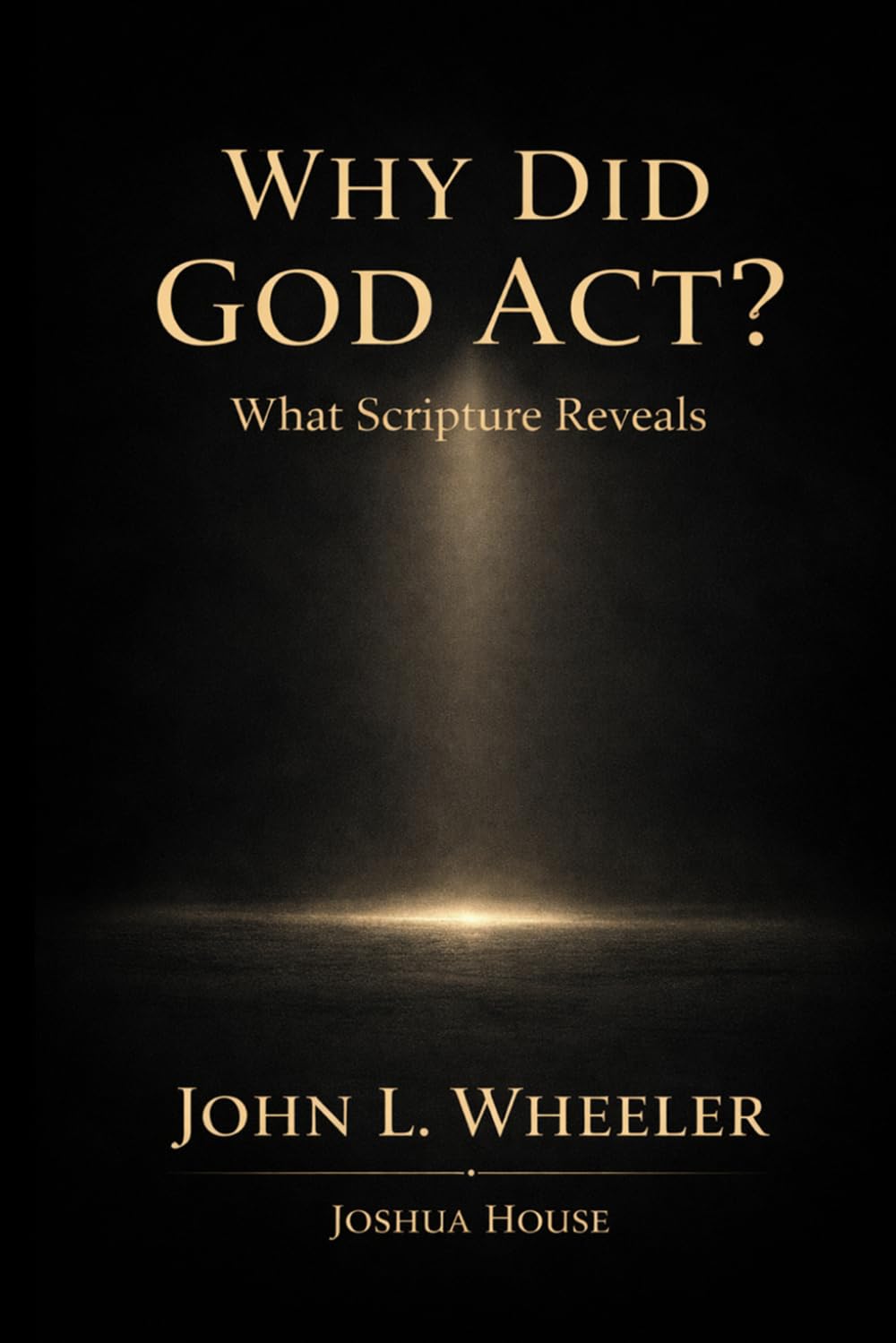 Why Did God Act?: What Scripture Reveals