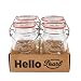 Produktbild HELLO PEARL Mason Jar Mariposa Bügelverschluss  500ml 4er Set | hochwertiges Drahtbügelglas zum Fermentieren & einkochen, Aufbewahrung von Lebensmittel mit dem Swing Top Glasbehälter