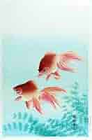 小原古邨「二匹の金魚」 【フレームサイズ 38cm × 29cm】版画 金魚二匹] - 東京国立近代美術館