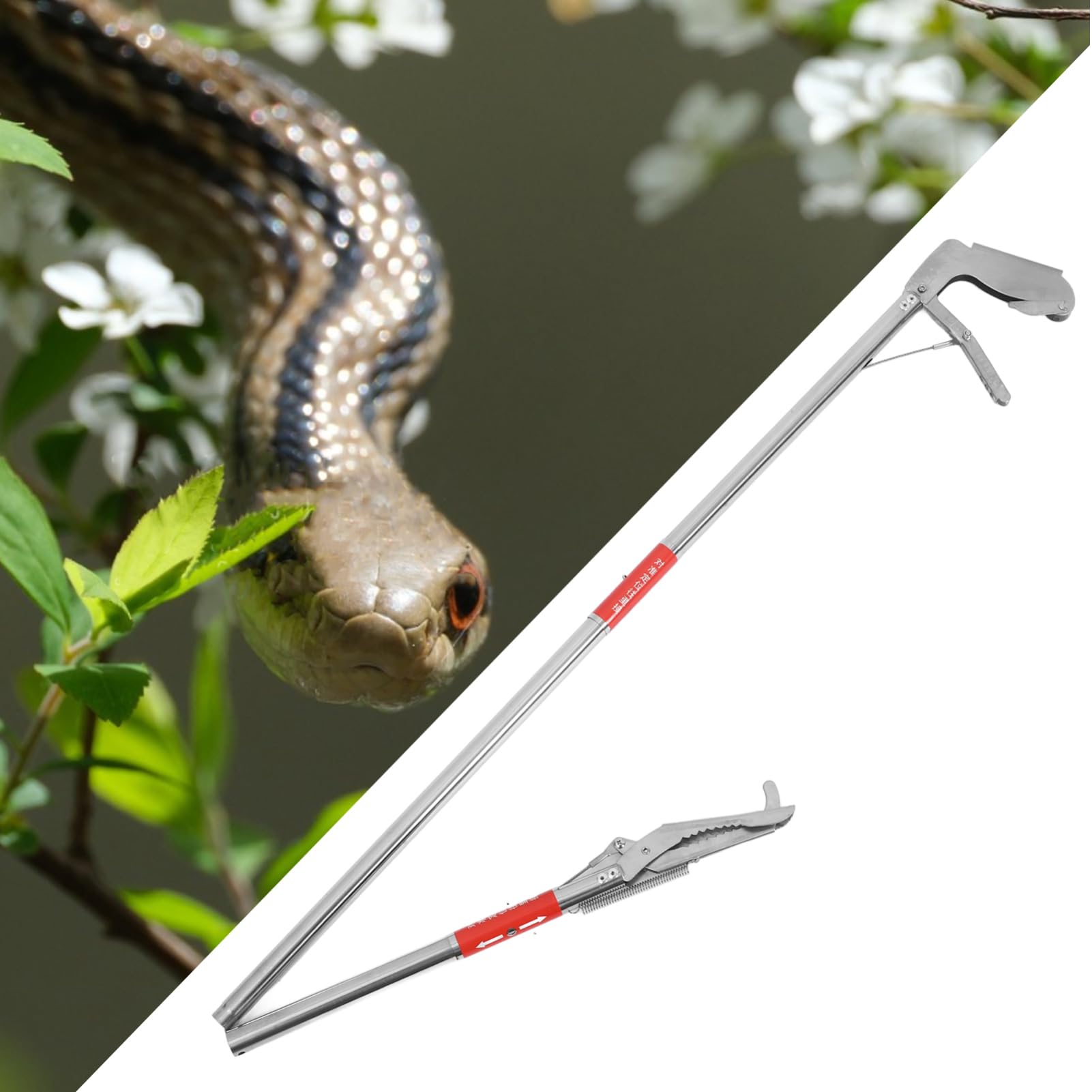 TOYANDONA Aalzange Metall 127cm Faltbare Schlangenzange Mit Rutschfester Klemme Für Reptilienfang Und Outdoor Einsätze