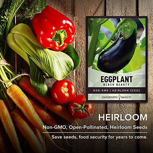 Eggplant Seeds For Planting - Black Beauty Solanum Melongena Is A Great Heirloom, Non-Gmo Vegetable Variety- 300 Mg Seeds Great For Outdoor Spring, Winter And Fall Gardening By Gardeners Basics #TOP6