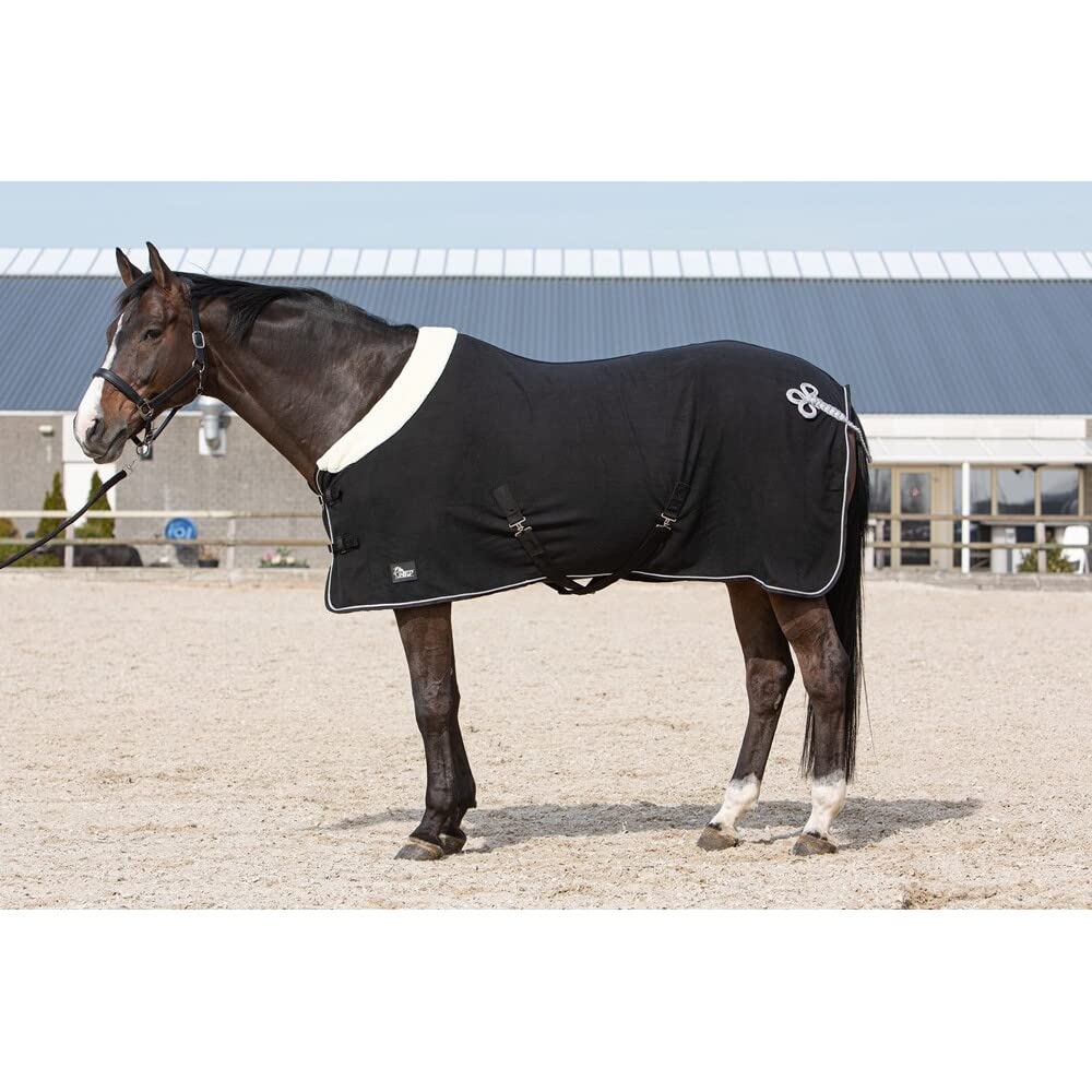 Chemise séchante Harry's Horse Champion pour cheval