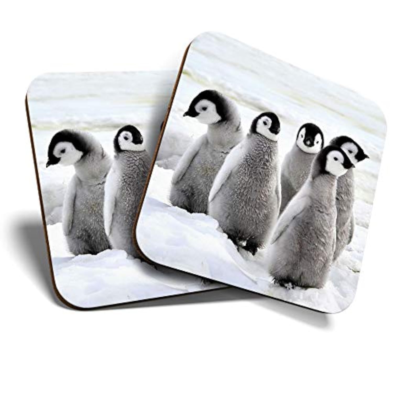 Destination Vinyl Ltd Multicolor 2 X Mdf Glossy Top Coasters Square - Emperor Penguin Chicks Birds 13280