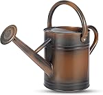 1 Canette d'arrosage Gallon pour les plantes, canettes d'abreuvement pour jardinage intérieur et extérieur, pot d'eau en acier galvanisé avec bec amovible, canette en métal avec poignée ergonomique mobile (argent rustique)