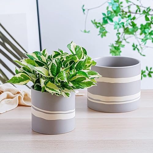 Miniatura 4 de Nihow Maceta moderna de cerámica  Maceta de 5 + 7 pulgadas para todas las plantas de interior  Macetas resistentes con orificio de drenaje y tapones