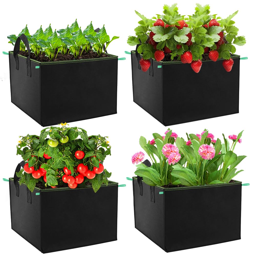 LITLANDSTAR Confezione da 6 sacchetti per la coltivazione di patate da 10 galloni, in tessuto non tessuto resistente, vasi in tessuto aerato per la coltivazione di verdure, frutta e fiori