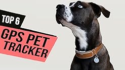 Whisper dog gps Clearance