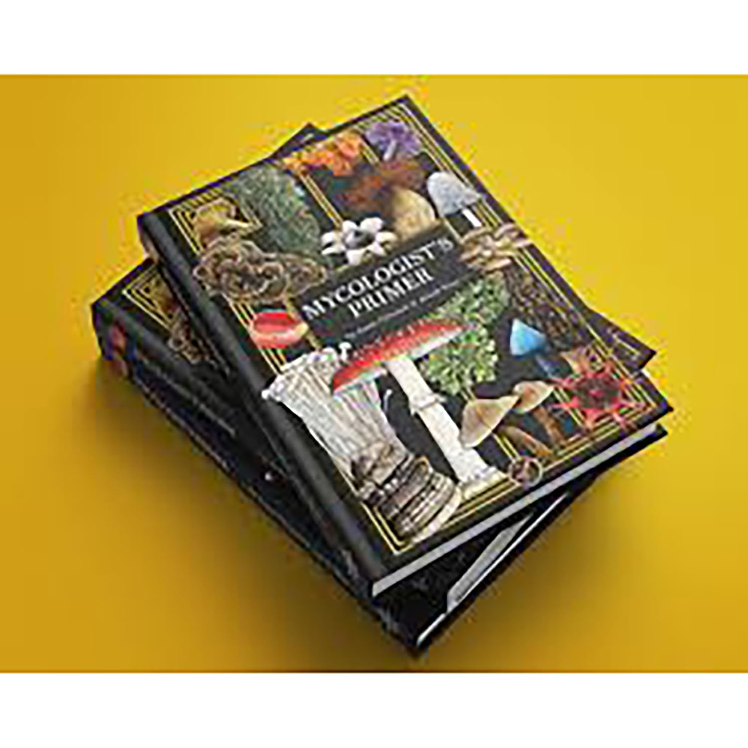 Renegade Games: Mycologist's Primer - Un sistema agnostico per qualsiasi sistema di gioco di ruolo, Libro a colori con copertina rigida, Mycology-Legends-Folklore, Giochi di ruolo da tavolo