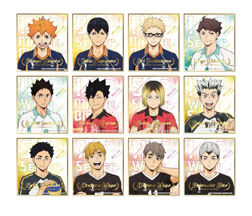 Amazon.co.jp: エンスカイ ハイキュー！！ ビジュアル色紙コレクション