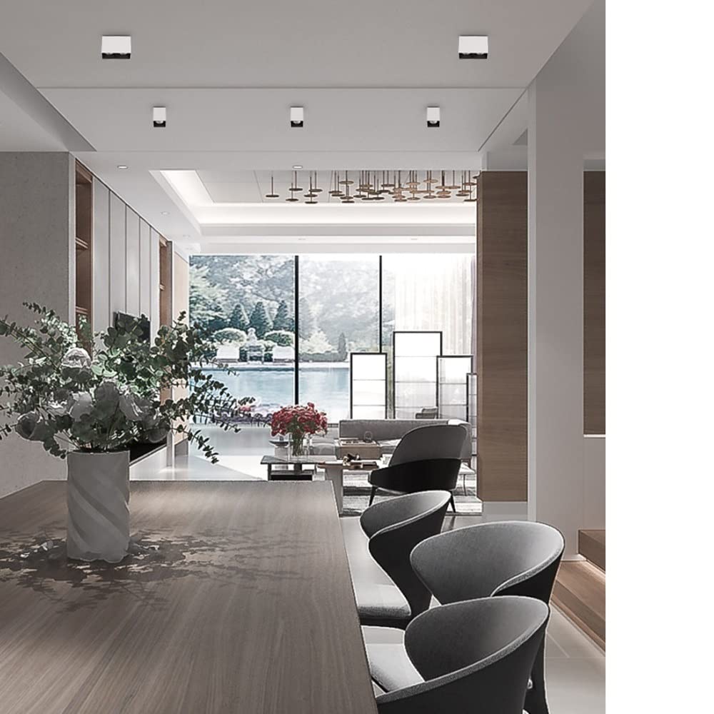 Faretto LED, apparecchio di Illuminazione da soffitto per Interni a 2 luci da 20 W, Rettangolare per Cucina, Soggiorno e Camera da Letto, faretti a Binario Fisso/Lampada d'accento/