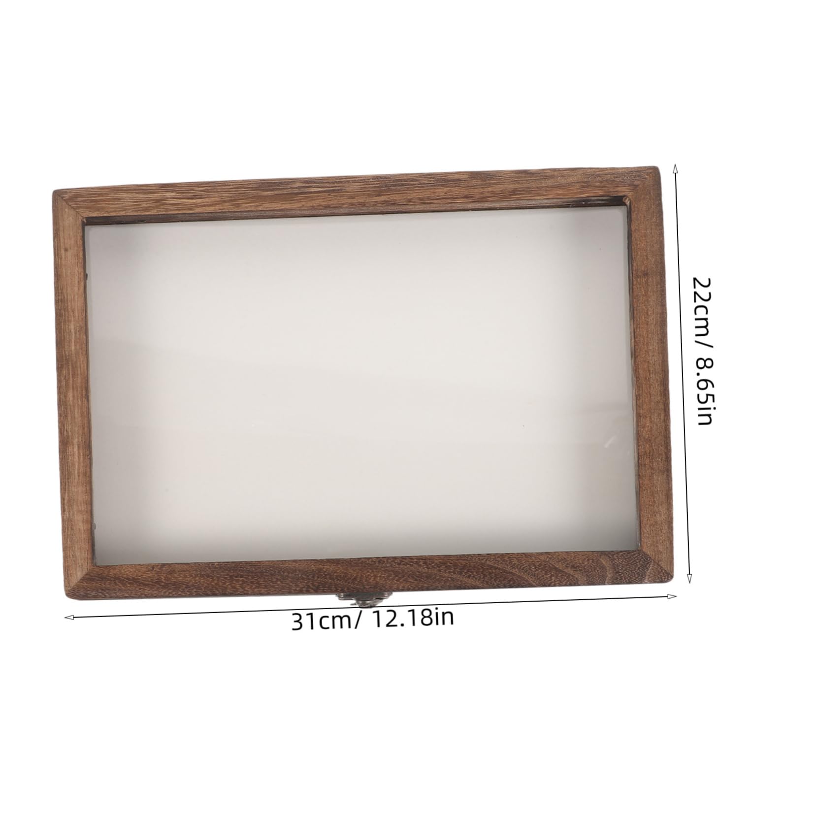 SOLUSTRE Butterfly Case Lid Specimen Frame Wall Hanging Display Acrylic Insect Box Style