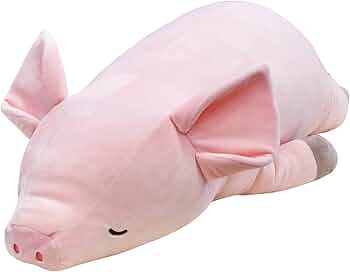 61ymt9jX4GL._AC_UF350,