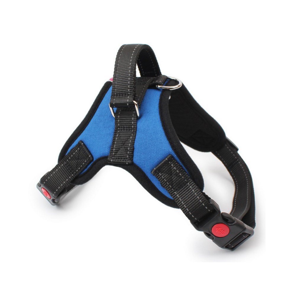 Adjustable No Pull Dog Collar Harness with Handle On Top - Best for Walking, Hiking & Training Canie – 4 Colors and 4 Sizes (Large, Blue)