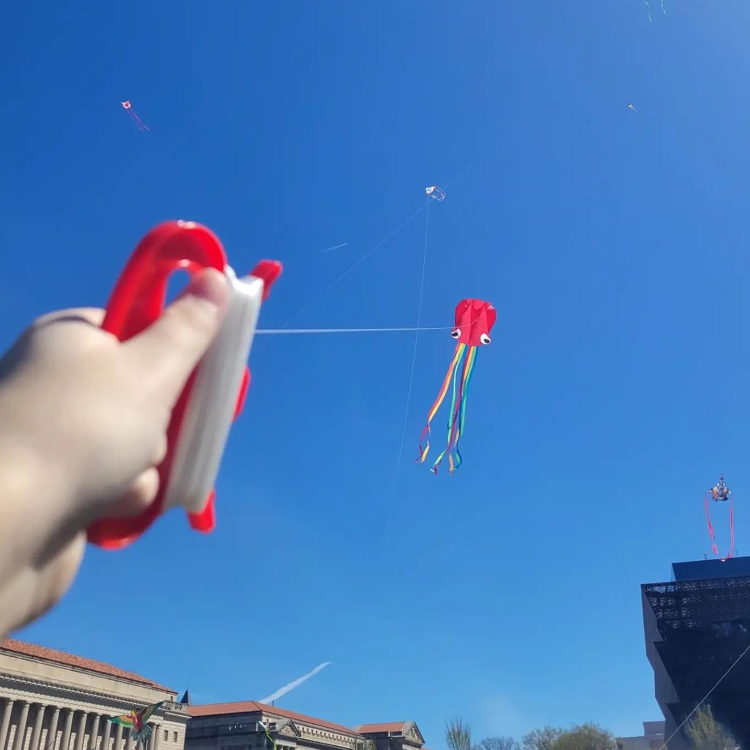 Large Octopus Kites for Kids and Adults - Easy to Fly, 28X158 3D Software Colorful Kite with Long Tails. Perfect for Beach and Outdoor Activities