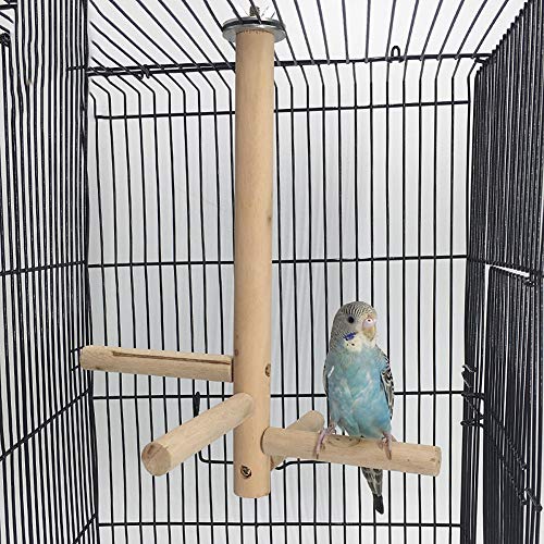 natural parrot stand