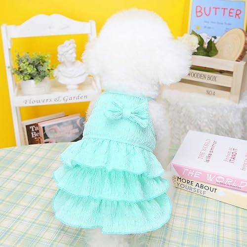 [SeitenFB]̕ lR Lp ybgpi ybg tĔ^ s[X ^Ngbv XJ[g ^  hbOEGA  O[ S