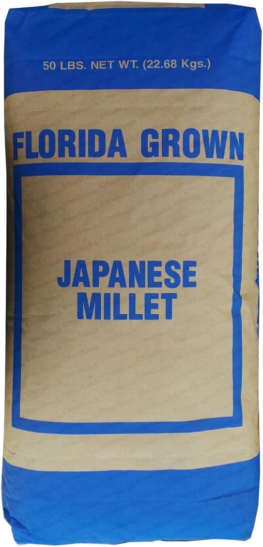 SeedRanch Japanese Millet Seed - 1 Lbs.