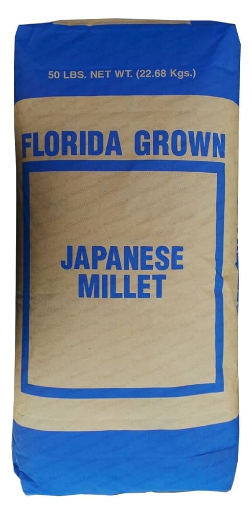 ☆millet☆ Amazon.com | MILLET Unisex Low-Top Sneakers Hiking Shoe