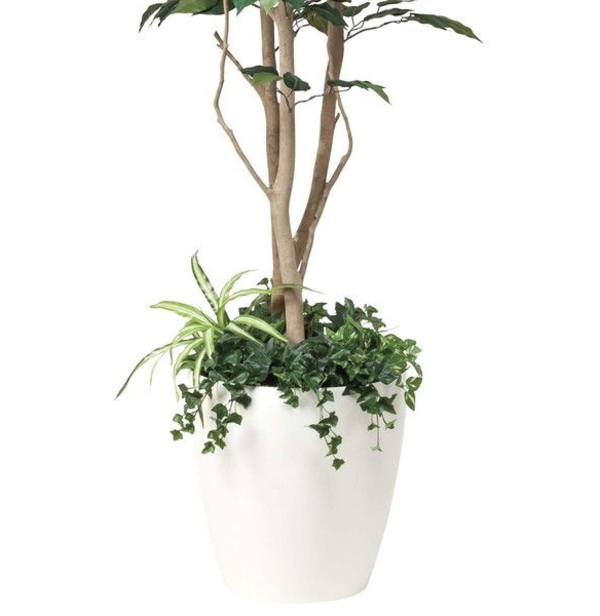 Amazon｜光の楽園 フィカスベンジャミン1.8植栽付m 508a450｜人工観葉