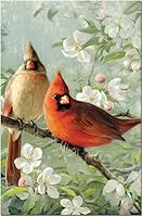 Vista 8 de Tree-Free Greetings EcoNotes - Juego de 12 tarjetas de notas favoritas para todas las ocasiones con sobres, 4 x 6 pulgadas (FS66507)