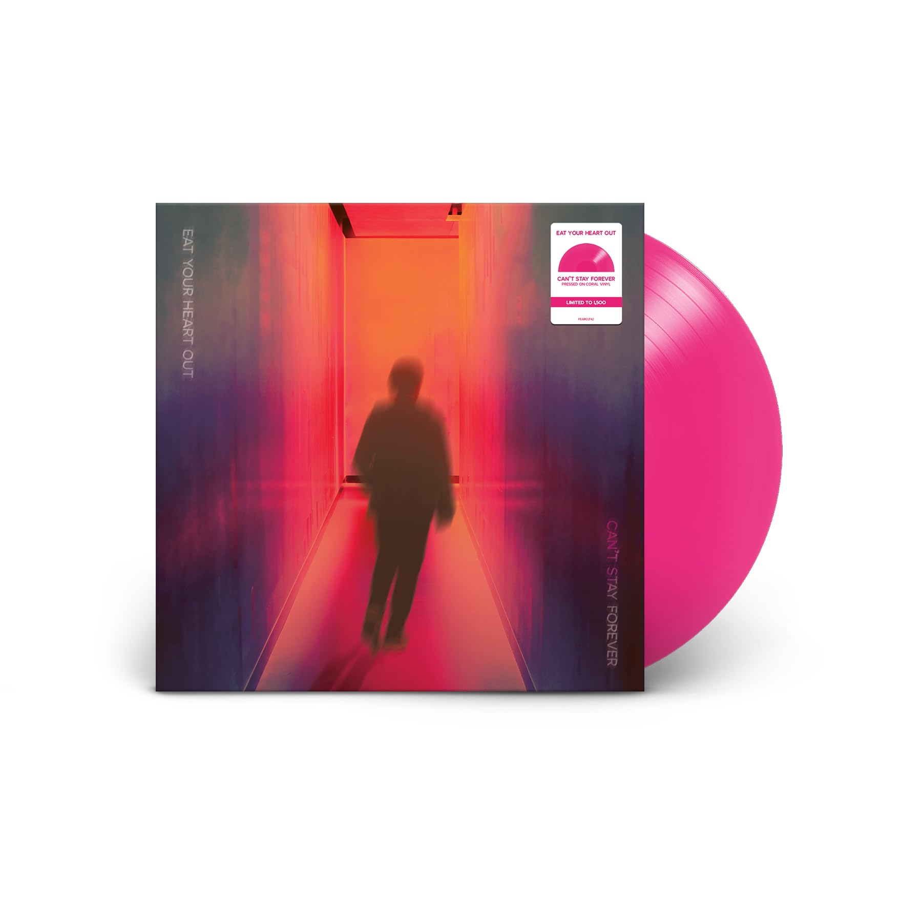 Can't Stay Forever [VINYL]