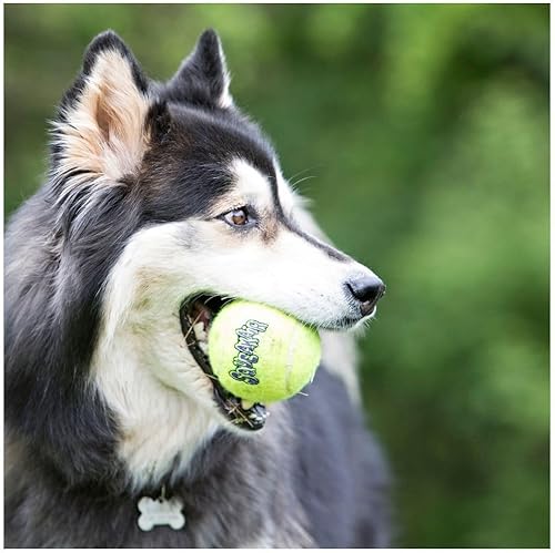 Vista 5 de KONG Air Dog Squeaker - Pelota de tenis XL, 1 paquete, paquete de 4