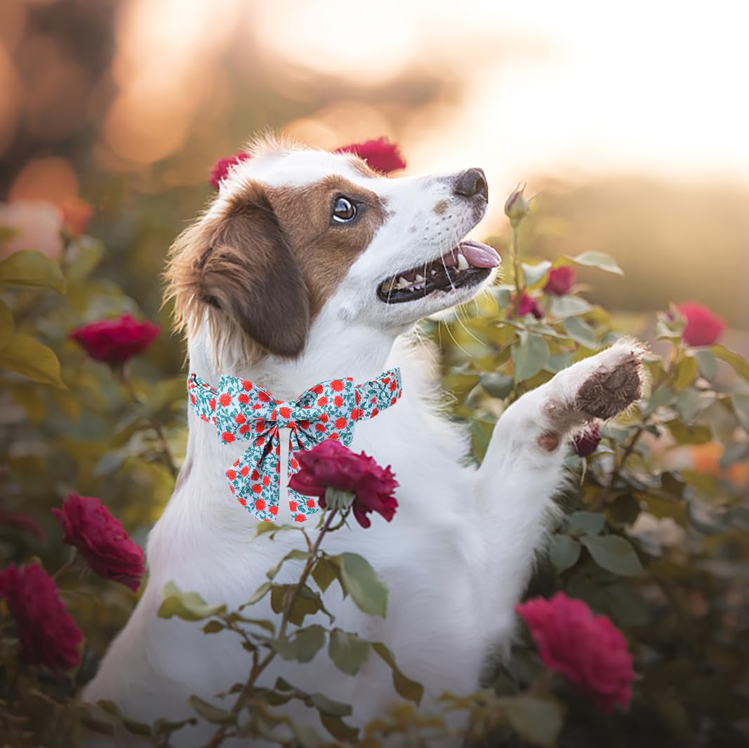 Lionet Paws Design Dogs Collar Cute Flower Sailor Bow Dog Collars for Girl Female Small Medium Dogs with Rose S - Image 4