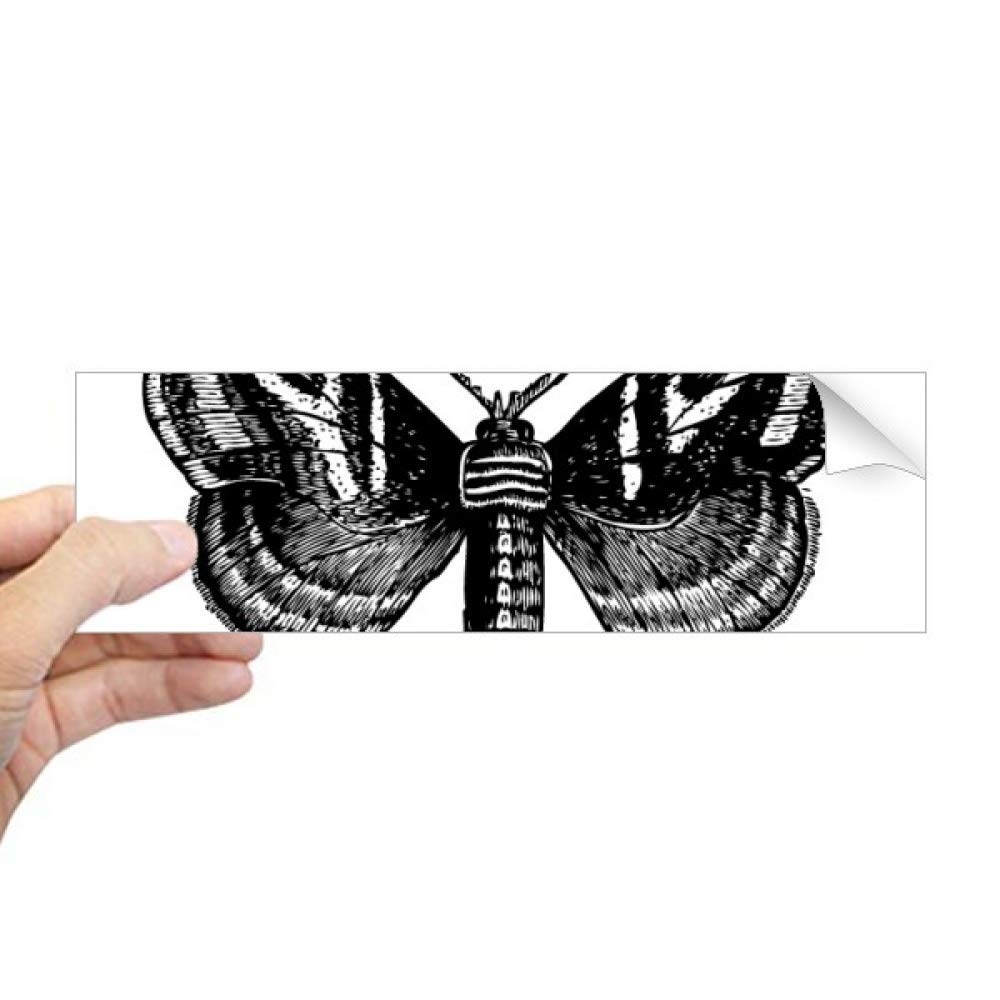 Autocollant papillon noir rectangulaire pour décorer vos fenêtres et ordinateurs