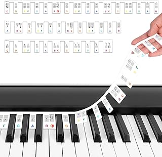 URAQT Removable Silicone Piano Keyboard Note Labels, 88 Key Full Size Reusable Piano Notes Sticker, Piano Notes Guide Key Labels Learning Strips with Storage Box for Beginner Kids (Colorful)