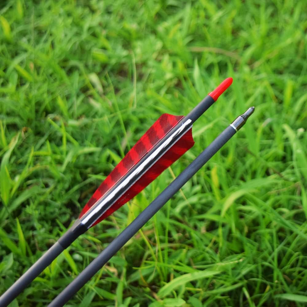 Pure Carbon Arrows 600 700 Spine 30 Inch Turkey Feather Fletching Screw in Field Points Targeting Hunting for Traditional Long Bow Recurve Bow Compound Bow