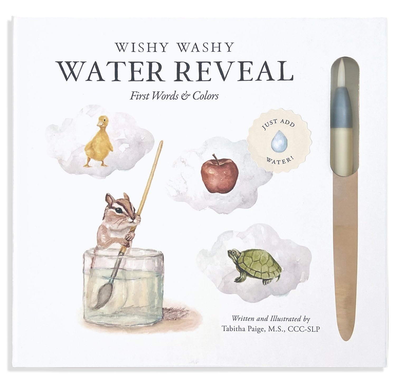 Wishy Washy Water Reveal Edition by T Paige PAPERBACK 9781963183559