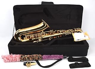 Benjamin Adams AS100 Beginner Alto Saxophone Outfit