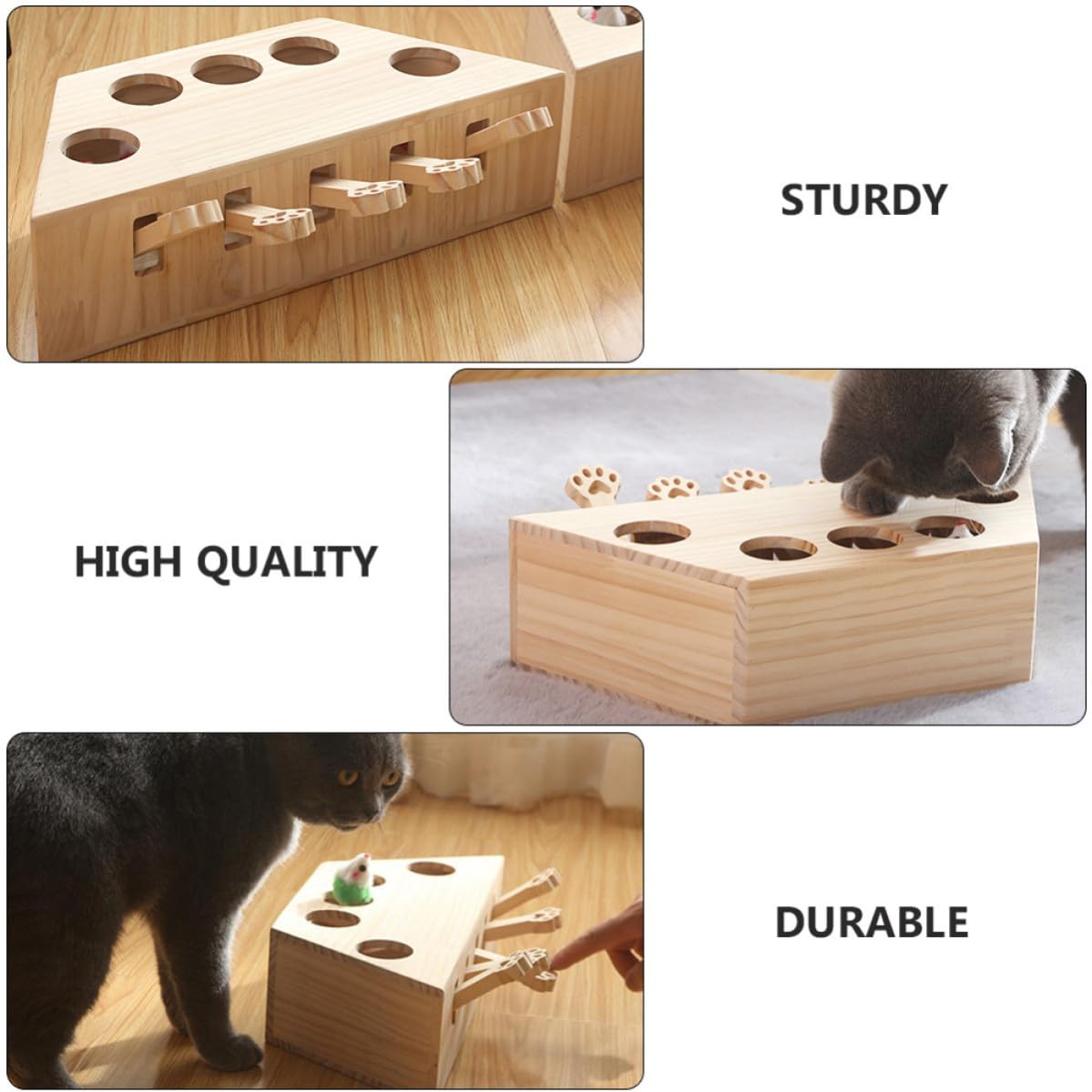 Lustiges Katzenspielzeug mit Fünf Löchern Verbessert Interaktivität und Leicht zu Verstauen für Spielerisches Kätzchen Jagdspiel zu Hause