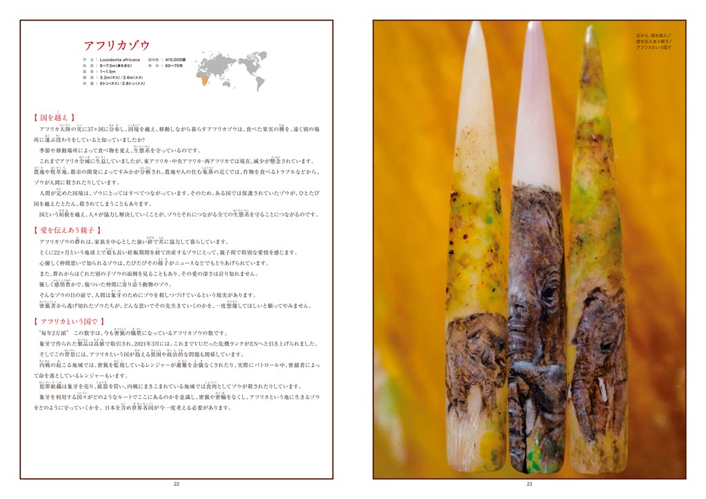 Red いま 消えゆく動物たち ネイルアーティストが伝える絶滅危惧種とこの地球 中野 千穂 本 通販 Amazon
