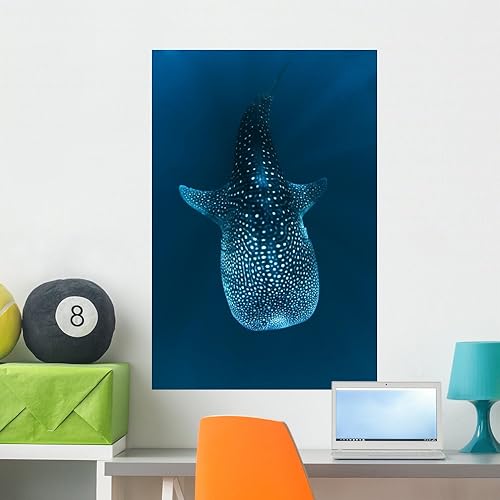 Vista 12 de requin Baleine dans le Mural Wallmonkeys despegar y pegar Graphic wm31667