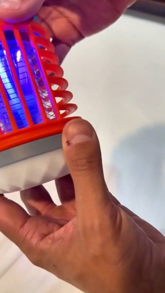 Amazon.com : Mozz Guard Mosquito Zapper 2025, Solar Outdoor