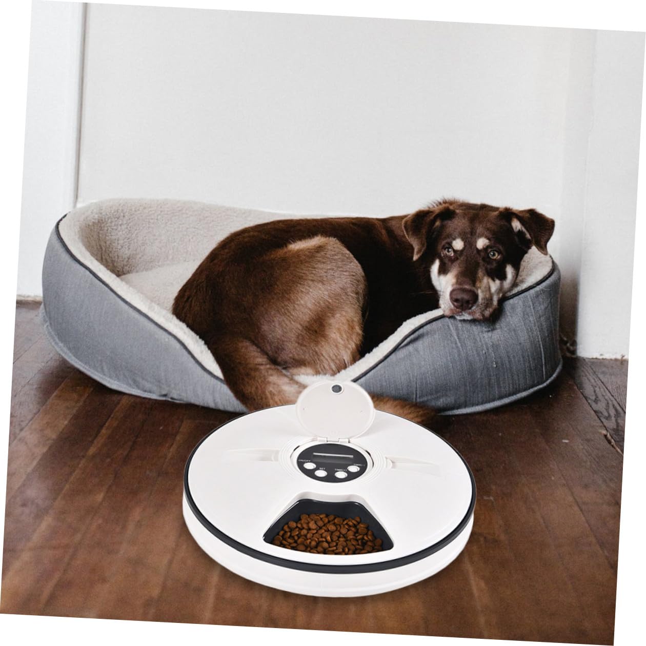 Comedero Automático para Mascotas Temporizador 6 Comidas | Capacidad 90g, Acabado Negro Abs, Base Antideslizante y Diseño Desmontable, Cabe en Esquina