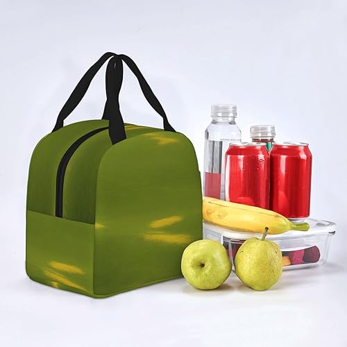 Miniatura 8 de Bolsa de almuerzo de estepa simple y conveniente bolsa refrigerada bolsa de almuerzo lonchera para mujeres y hombres adultos picnic trabajo